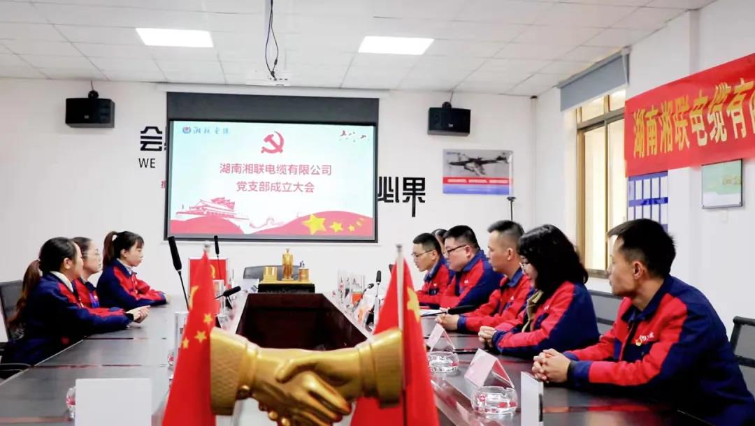 新征程 | 熱烈祝賀湖南湘聯(lián)電纜有限公司黨支部正式成立！