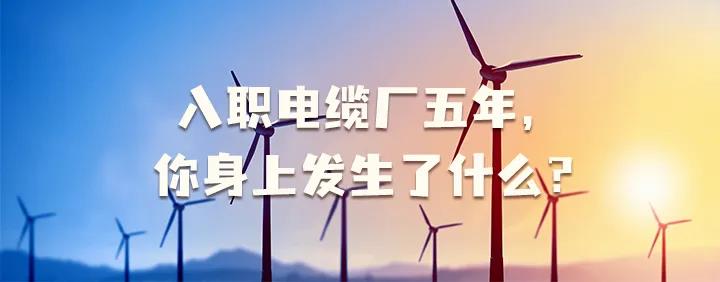 入職電纜廠五年，你身上發(fā)生了哪些變化~