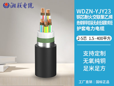 電纜接頭有哪些常見的故障類型？